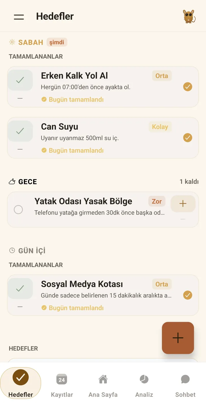 Ritüeller ve hatırlatıcılar